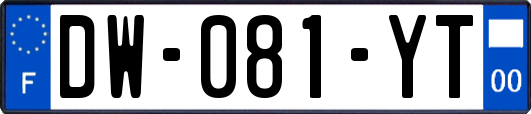 DW-081-YT