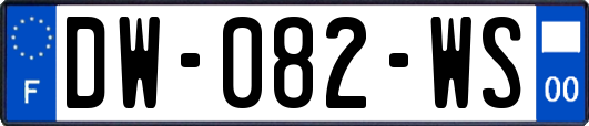 DW-082-WS