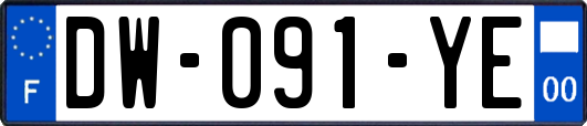 DW-091-YE