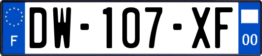 DW-107-XF