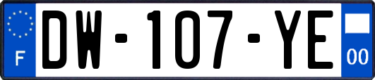DW-107-YE