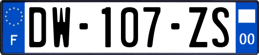 DW-107-ZS