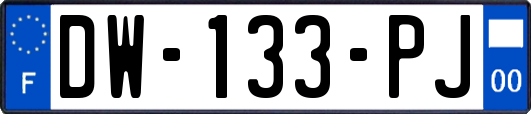 DW-133-PJ