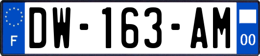 DW-163-AM