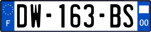 DW-163-BS