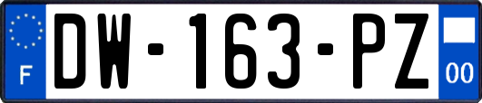 DW-163-PZ