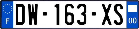 DW-163-XS