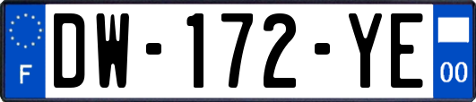 DW-172-YE