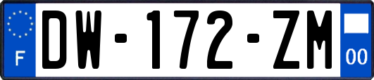 DW-172-ZM