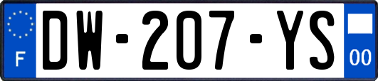 DW-207-YS