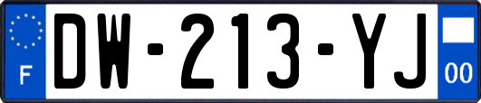 DW-213-YJ