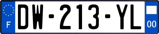 DW-213-YL