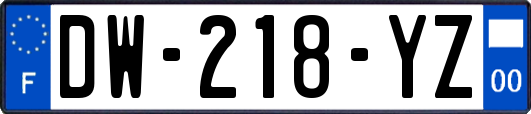 DW-218-YZ