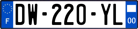 DW-220-YL