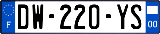 DW-220-YS