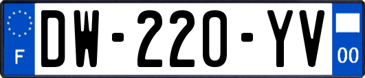 DW-220-YV