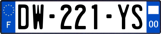 DW-221-YS