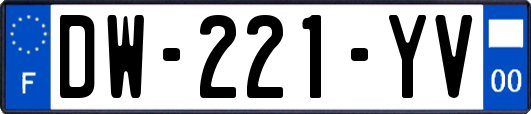 DW-221-YV