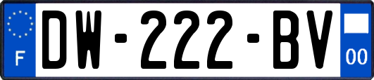 DW-222-BV