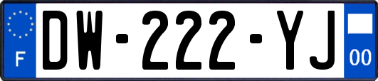 DW-222-YJ