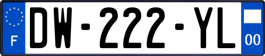 DW-222-YL