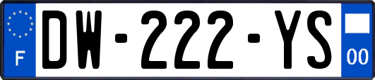 DW-222-YS