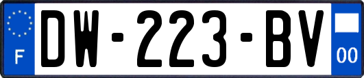 DW-223-BV