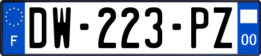 DW-223-PZ