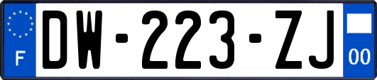 DW-223-ZJ