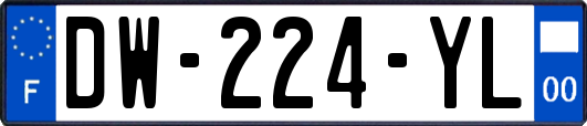DW-224-YL