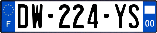 DW-224-YS