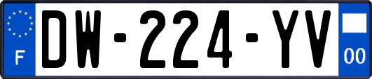 DW-224-YV