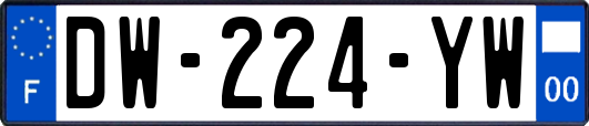 DW-224-YW