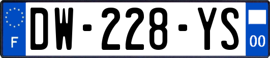 DW-228-YS