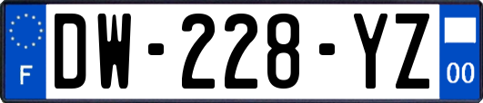 DW-228-YZ