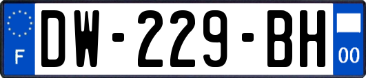 DW-229-BH