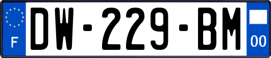 DW-229-BM