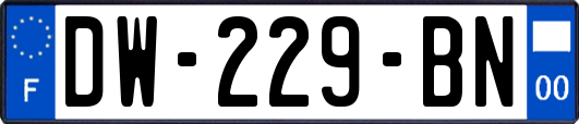 DW-229-BN