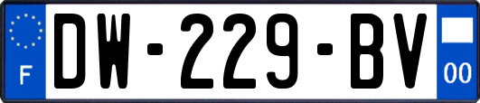 DW-229-BV