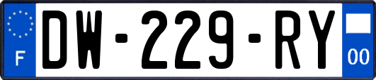 DW-229-RY