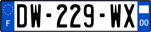 DW-229-WX