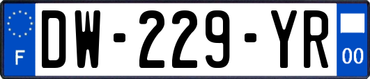 DW-229-YR