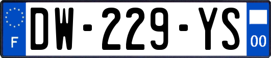DW-229-YS