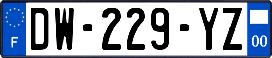 DW-229-YZ