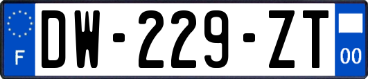 DW-229-ZT