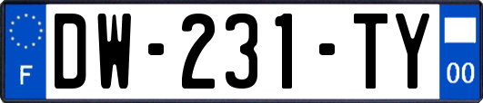 DW-231-TY