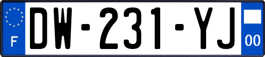 DW-231-YJ