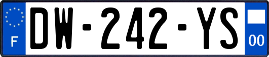 DW-242-YS