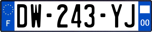 DW-243-YJ