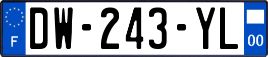 DW-243-YL